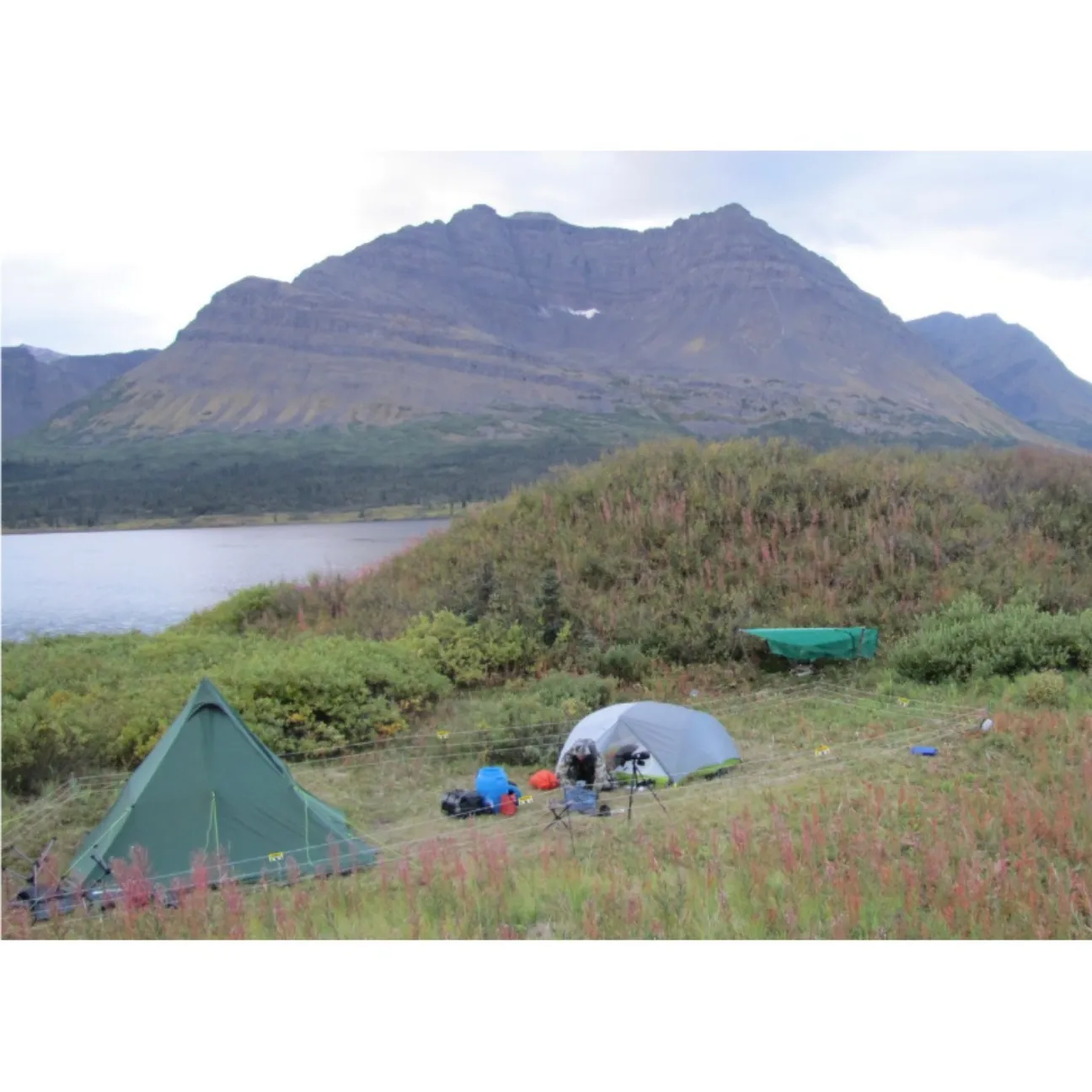 Backcountry Expansion Pack