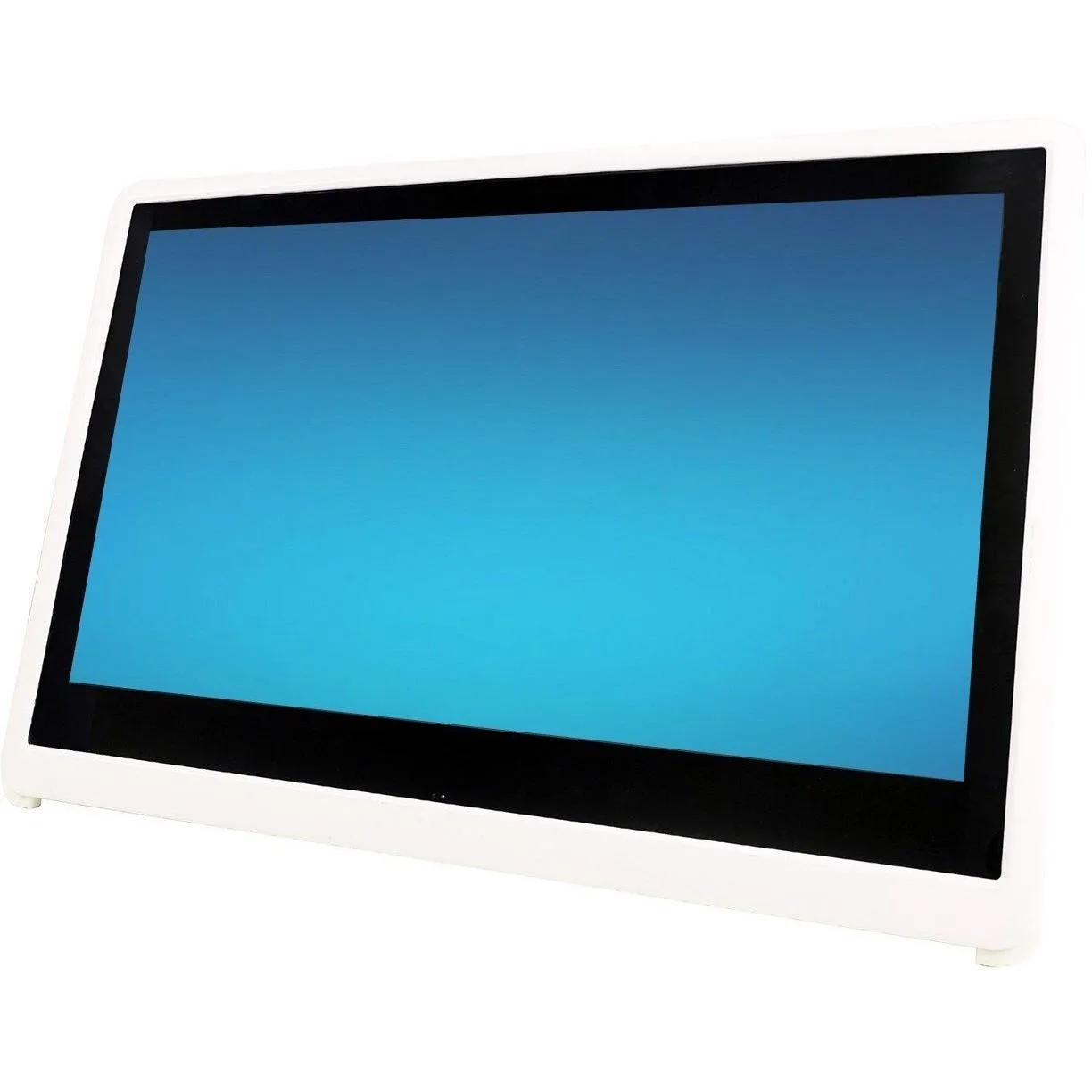 Durabook P24 All-in-One PC