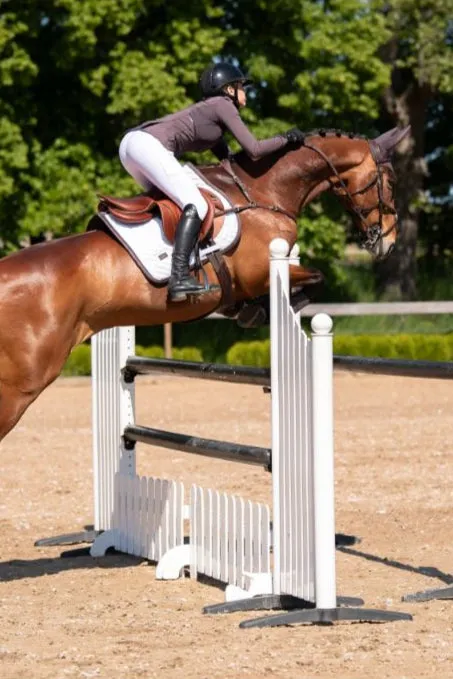 Equestrian Stockholm Jump-AP Saddle Pad Modern White-Moonless Night