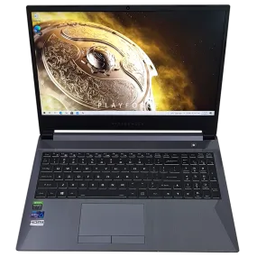 Forge 15X (i7-10875H, RTX 2060, 16GB, 1TB 500GB SSD, 15-inch)