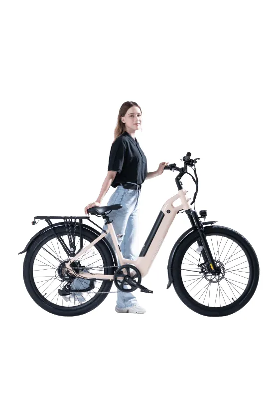 Revi Bikes Oasis 500W Low Step Electric Bike
