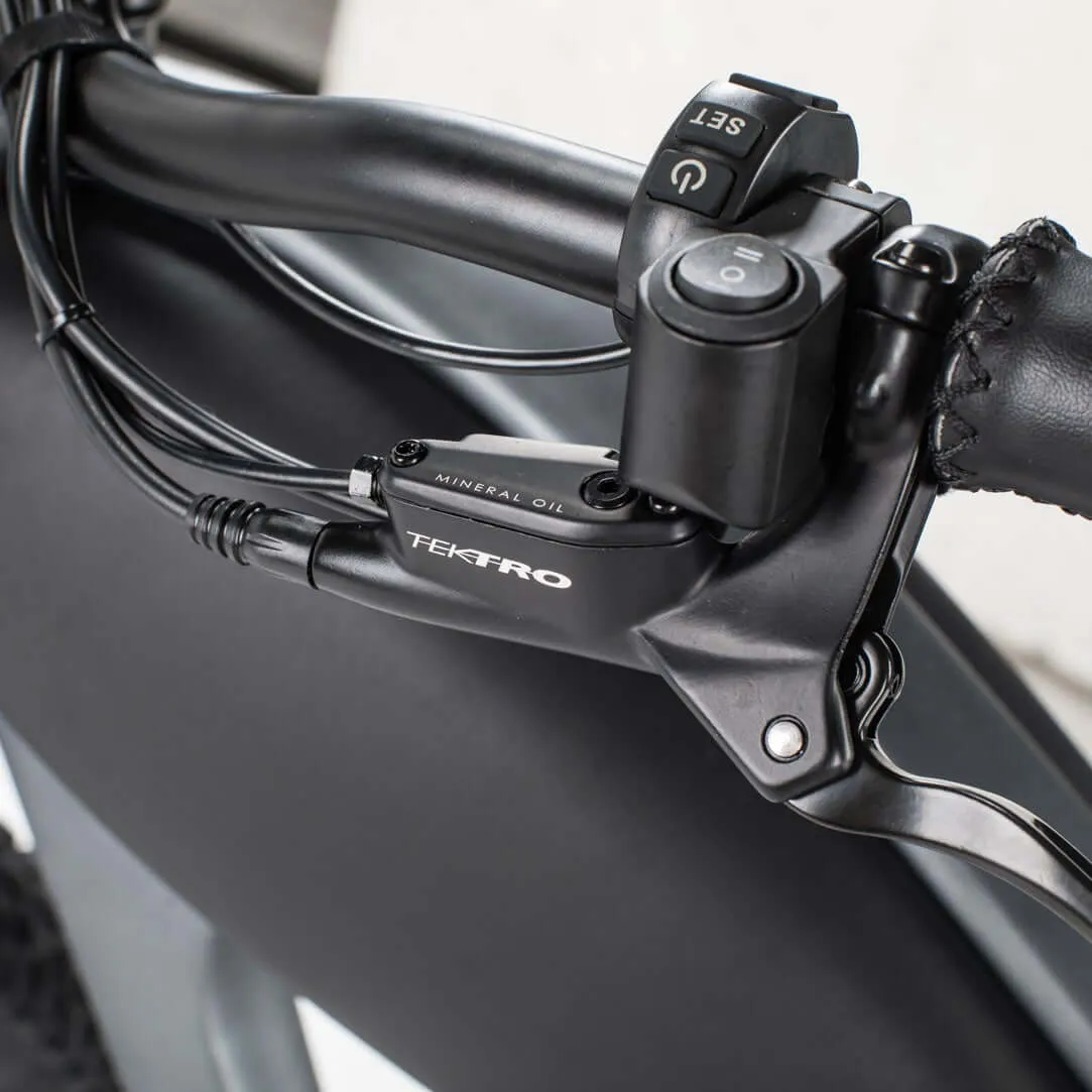 Revi Cheetah Cafe Racer Vintage Motorcycle E-Bike