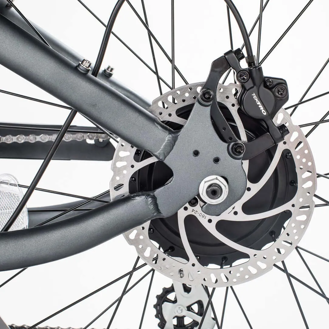 Revi Cheetah Cafe Racer Vintage Motorcycle E-Bike